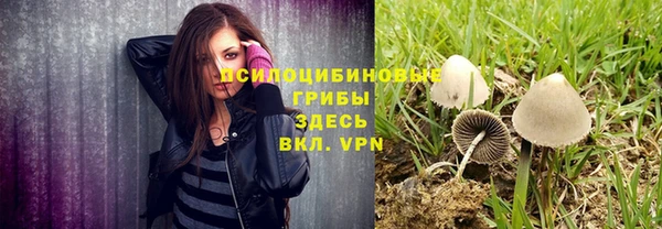 соль ск Абдулино