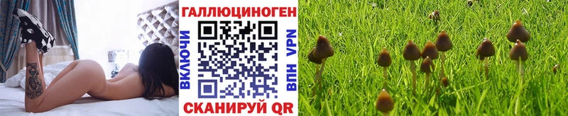 гидра tor  Томилино  Псилоцибиновые грибы мицелий 