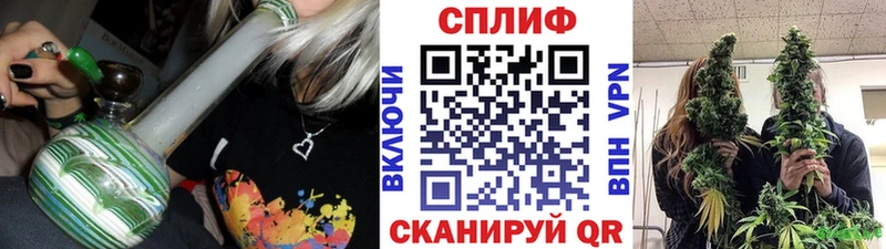 Канабис планчик наркотики Томилино